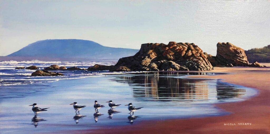 Gathering Of Terns, Lighthouse Beach, Port Macquarie, Australia, Original Oil Painting By Nicola McLeay Fine Art