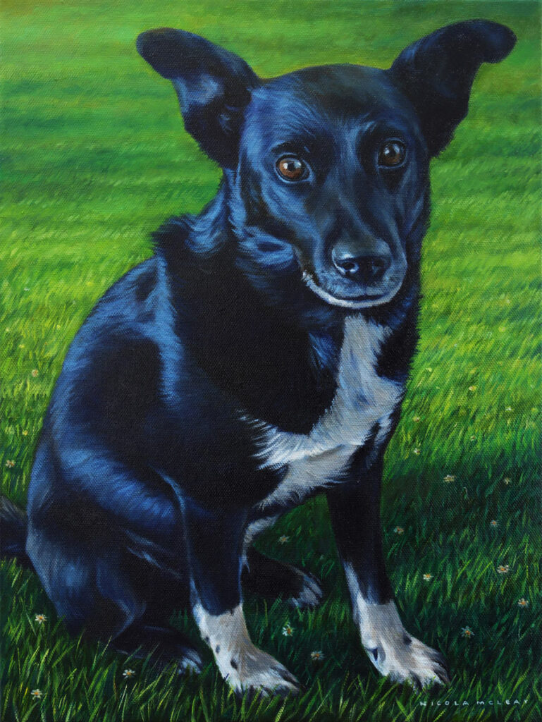 Benny the dog, Original Oil Painting by Nicola McLeay Fine Art