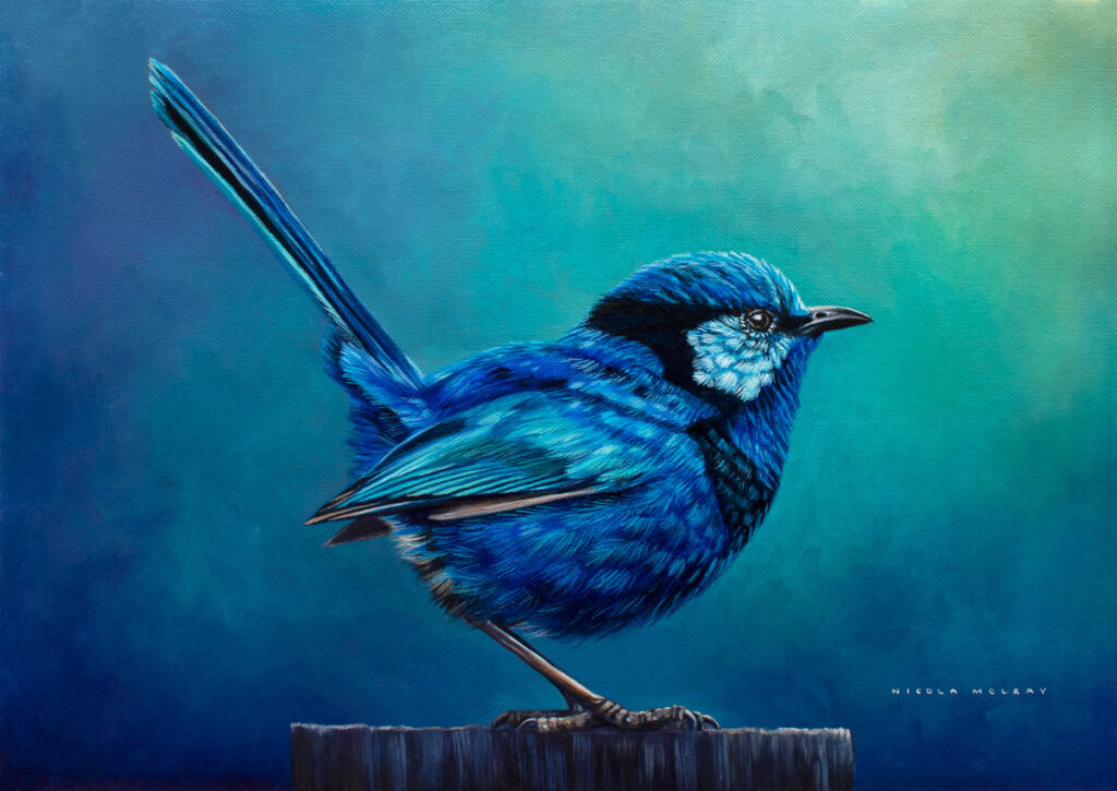 Blue Fairywren, Original Oil Painting by Nicola McLeay Fine Art
