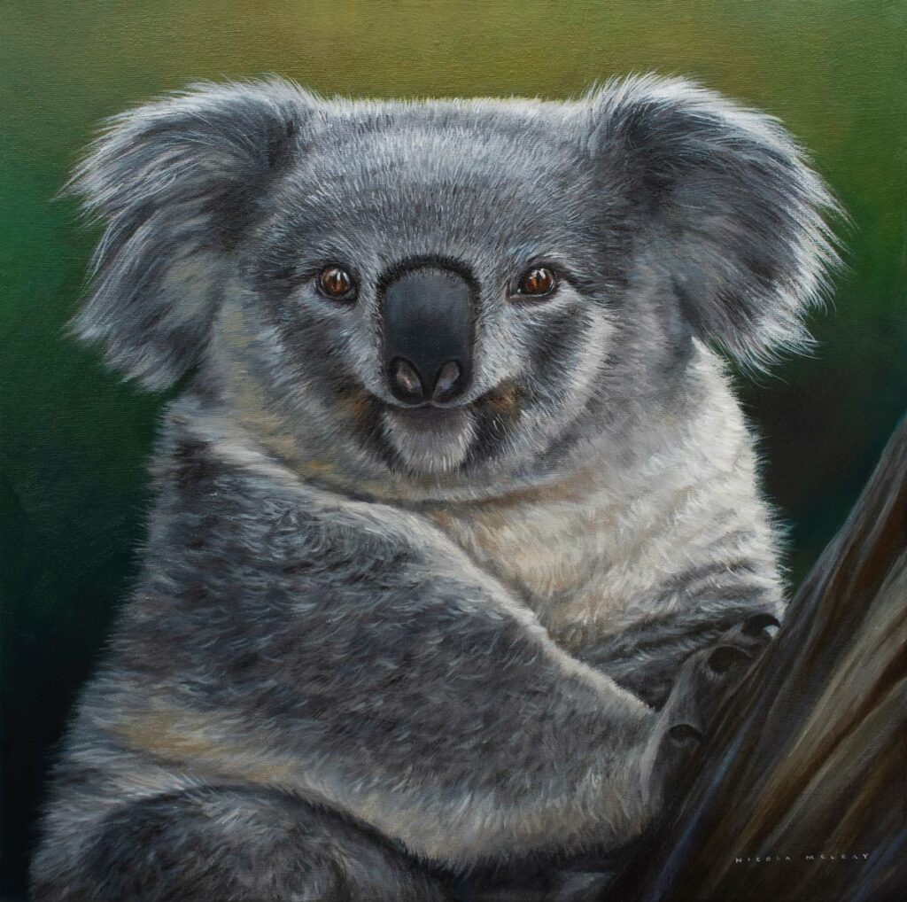 Koala Bear Portrait, Original Oil Painting by Nicola McLeay Fine Art