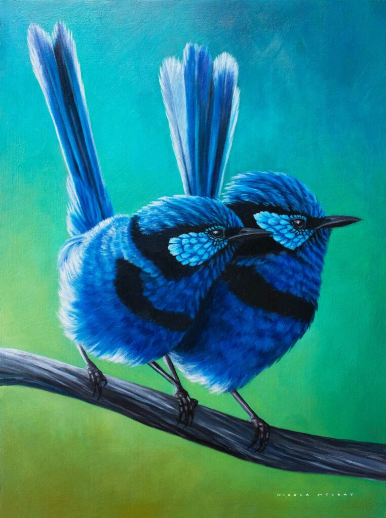 Splended fairywrens australian bird, Original oil painting by Nicola McLeay Fine Art
