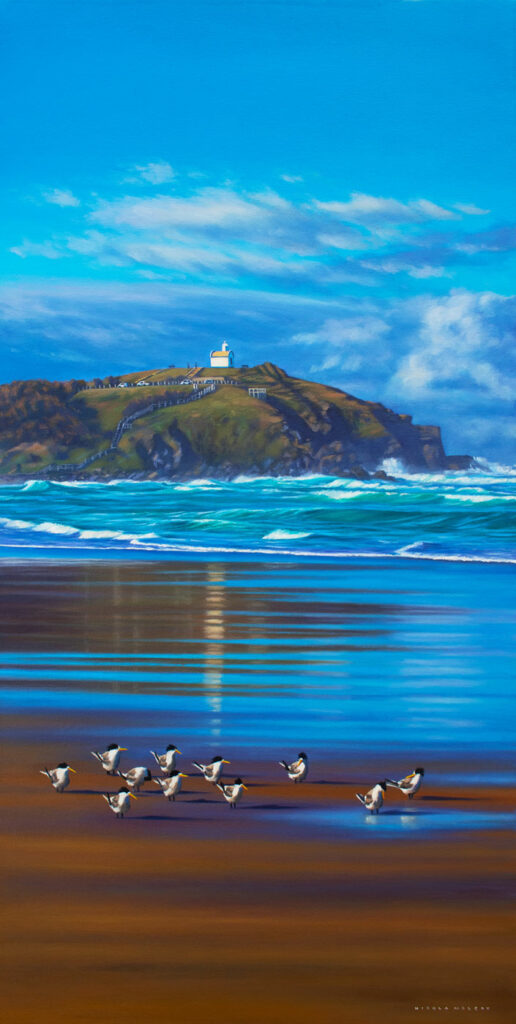royal tern sea birds at lighthouse beach port macquarie australia oil painting