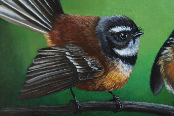 new zealand fantails piwakaka birds oil painting with green background by nicola mcleay fine art