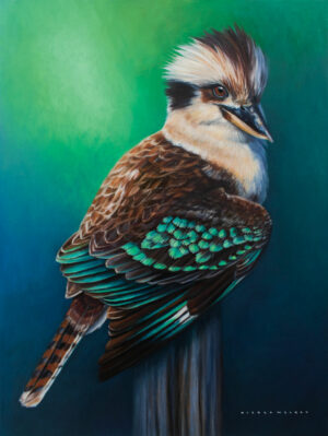 Kookaburra 'Tealy' Australian bird oil painting Nicola McLeay fine art