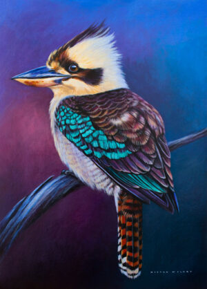 Violet the australian kookaburra oil painting by nicola mcleay